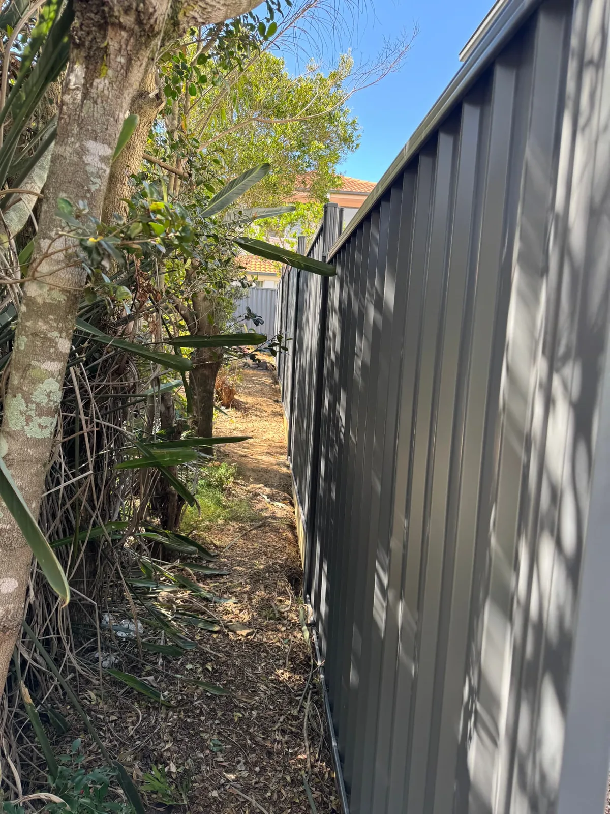 Colorbond boundary fence installed between established trees and a residential property