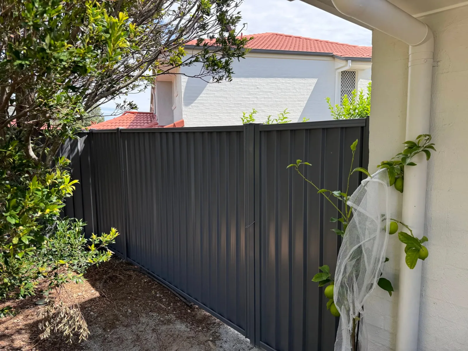 Colorbond boundary fencing at a residential property in Wynnum West