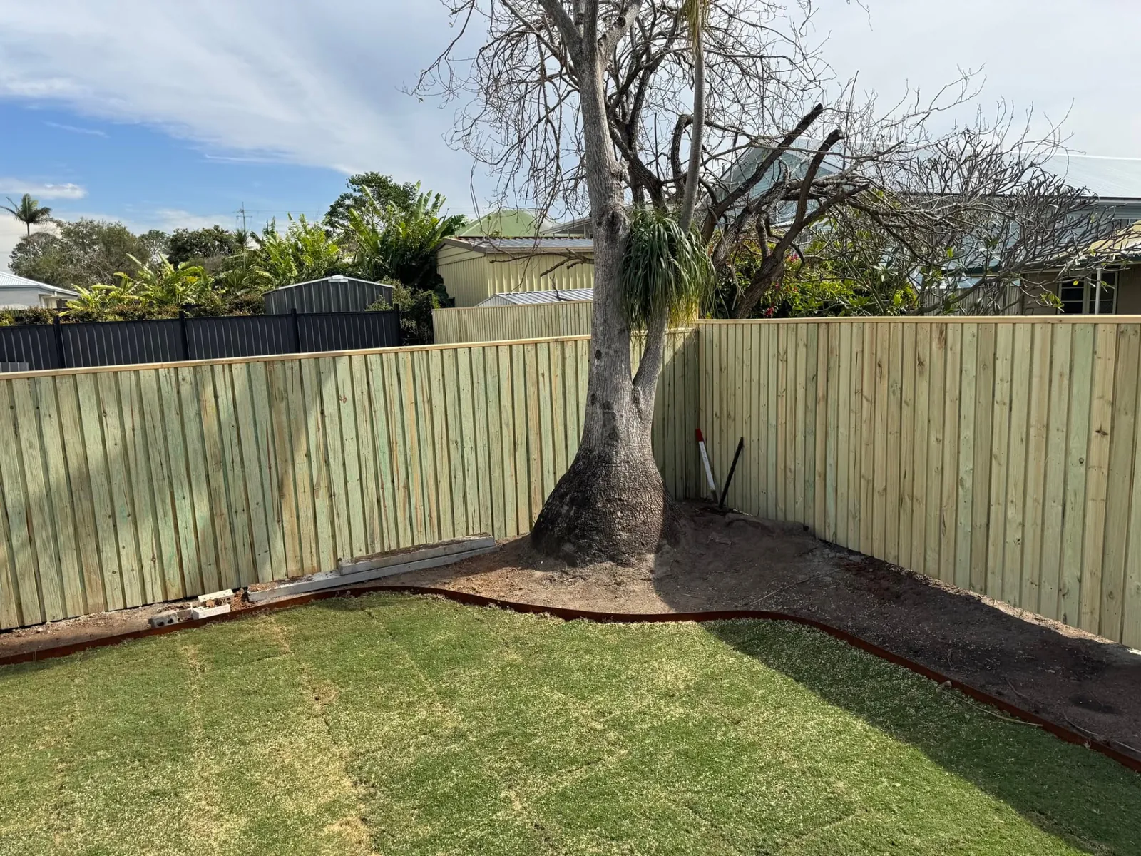 Timber fencing constructed around established backyard trees in Wynnum